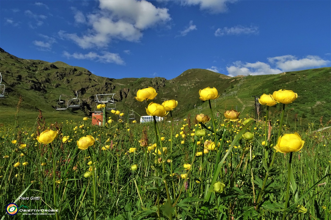 100 Botton d'oro con vista verso il Montebello.JPG